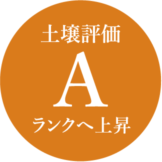 土壌評価 A