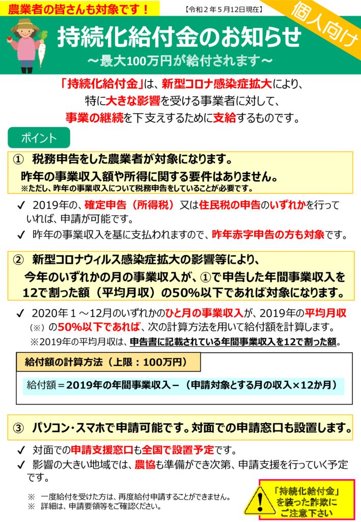 持続化給付金(個人)パンフ