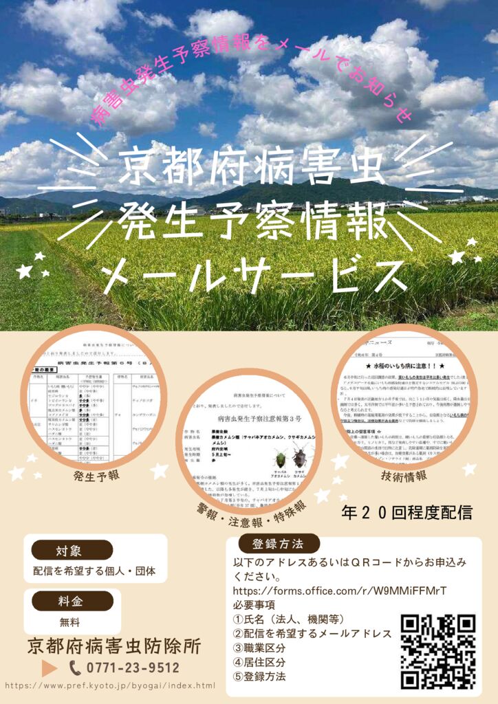 mailserviceflyer_2024090916421912のサムネイル